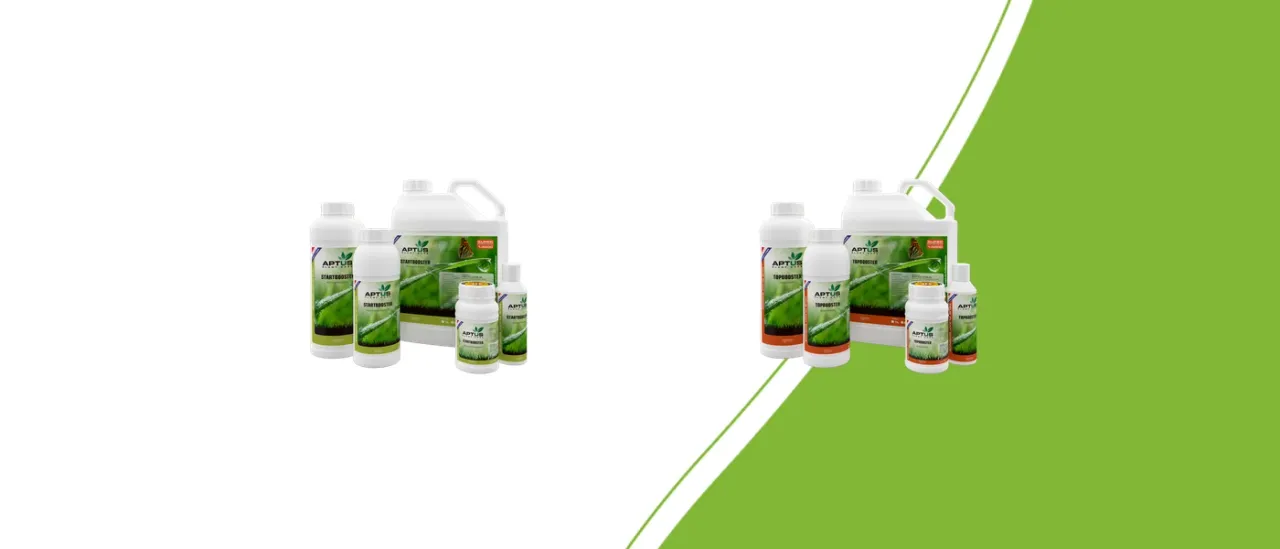Aptus Startbooster, Topbooster