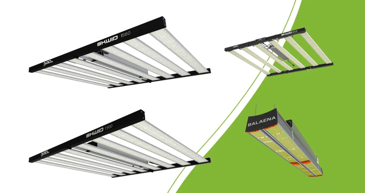 Vier OCL LED-Modelle: Skwid 1560 PRO, Skwid 1900 PRO, Skwid ECO und Balaena
