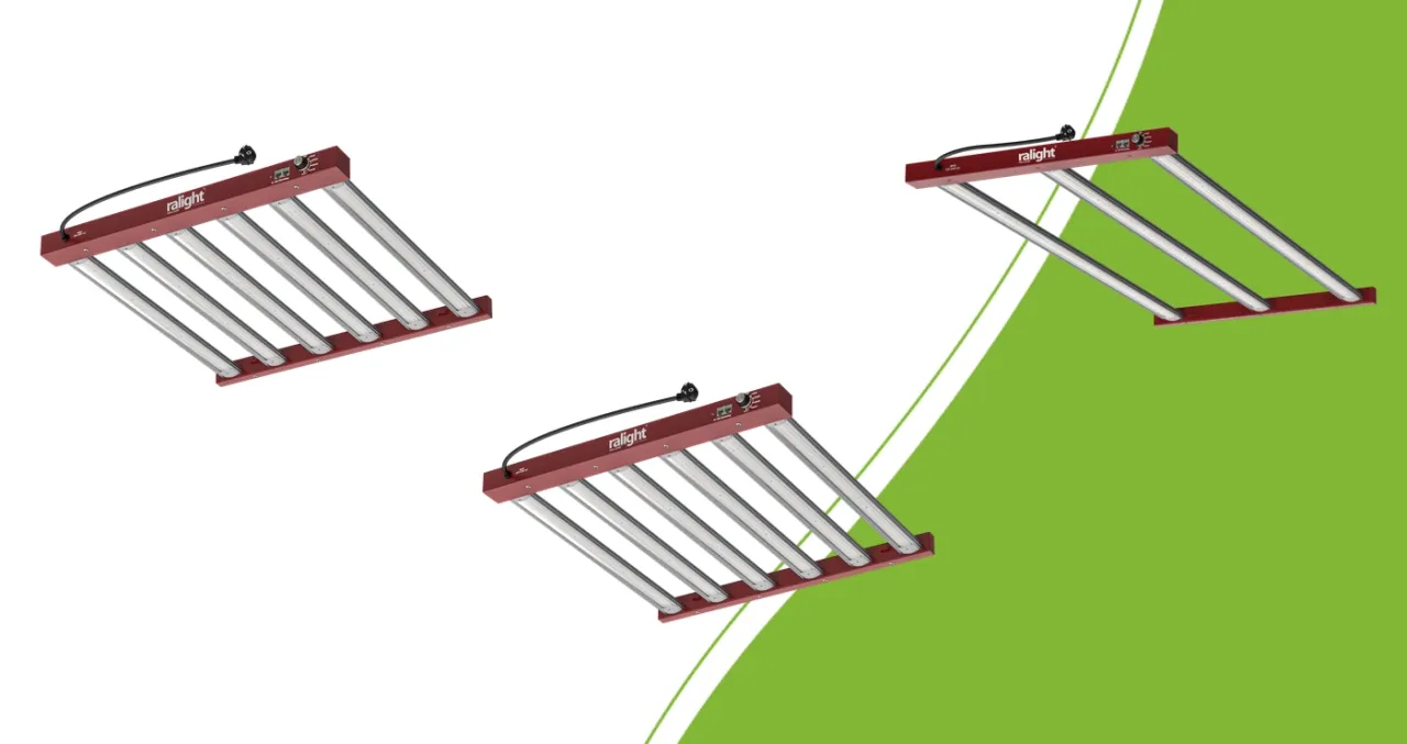 Die drei Ralight 360W LED-Modelle mit sechs, sechs und drei Lichtbalken