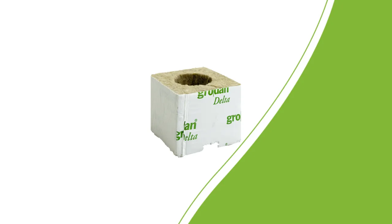 Grodan Anzuchtblock mit 38-mm-Loch