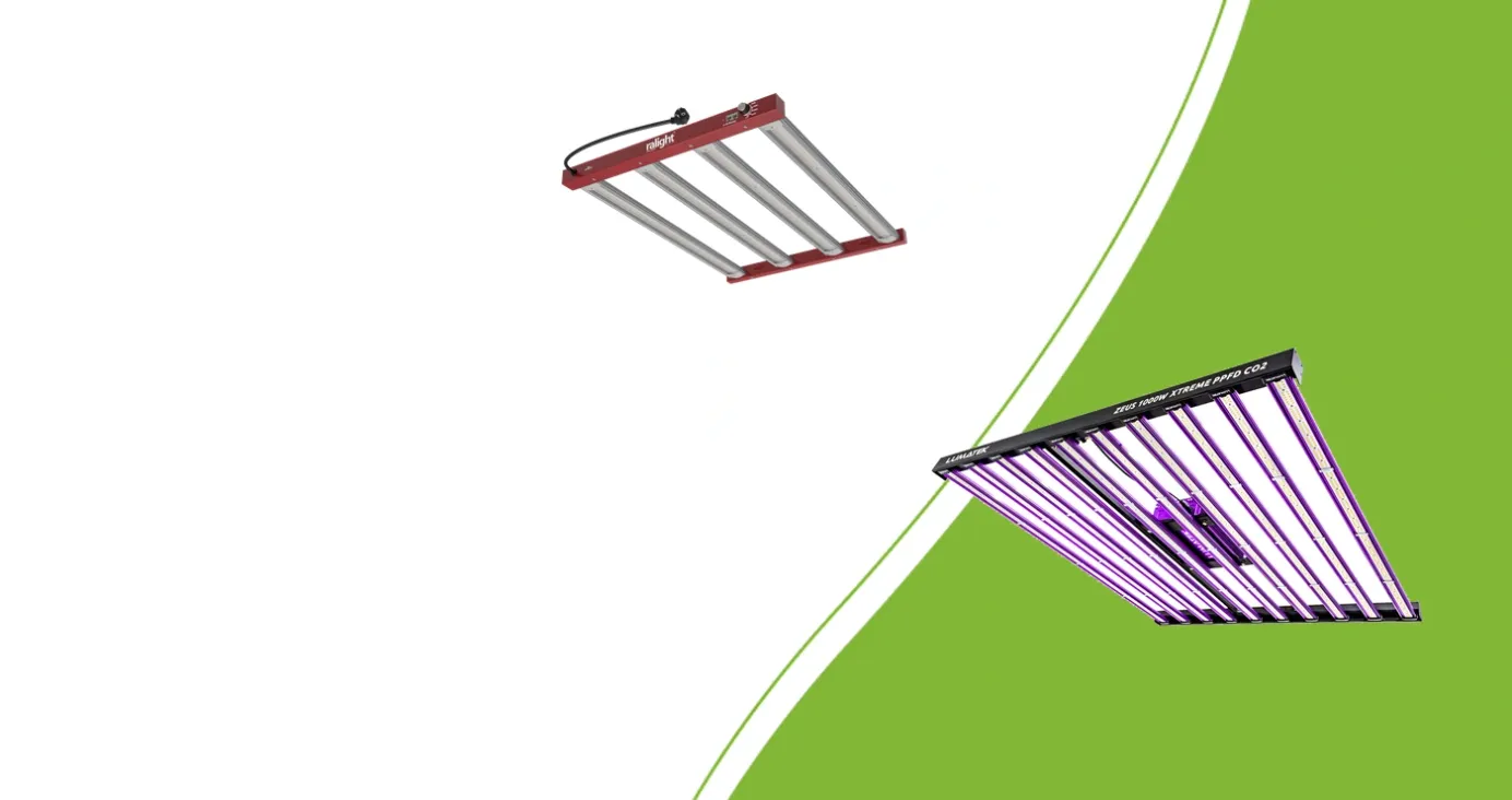 LED-Growlampen: Ralight 250W und Lumatek ZEUS 1000W Xtreme 3.1