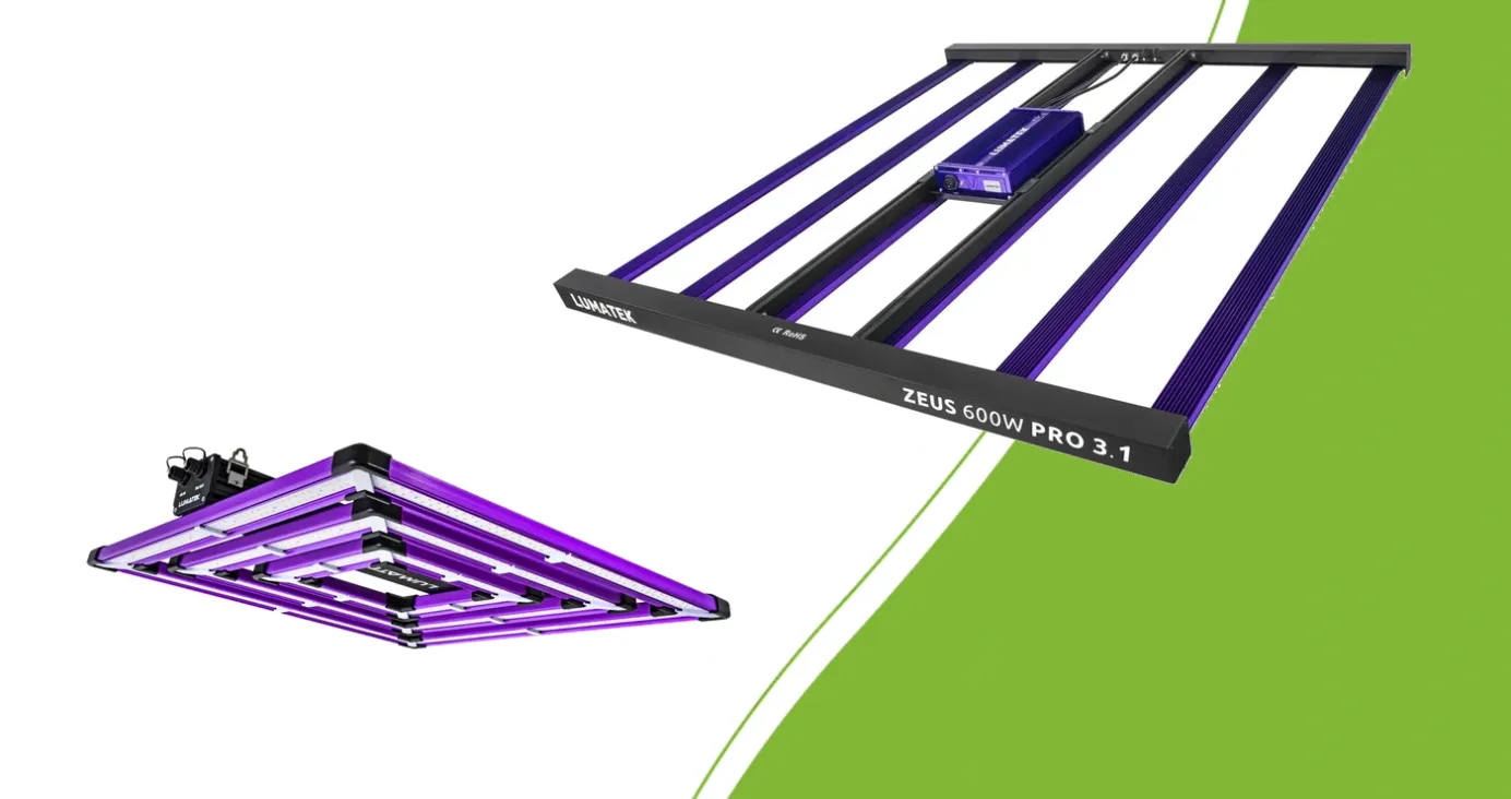 Lumatek Attis 300W PRO und ZEUS 600W PRO 3.1 LED-Leuchten