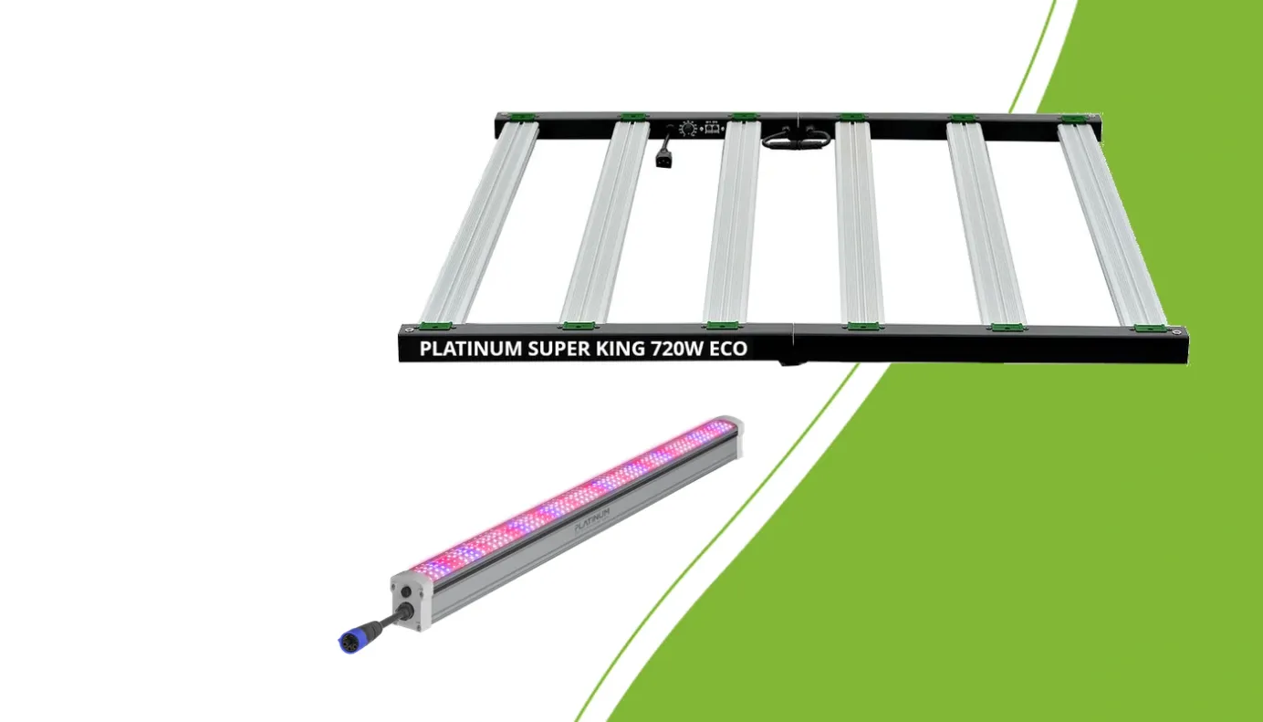 Platinum Super King 720W ECO und Under Canopy 150W für zwei getrennte Beleuchtungsaufgaben