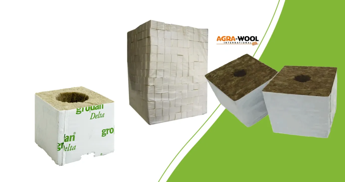 Grodan-Anzuchtblock, markenlose 4-cm-Würfel und Agra-Wool-Startblöcke mit Pflanzloch