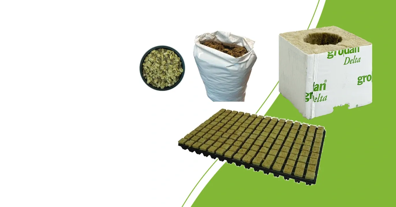 Grodan SBS-Plugtray, Grodan Anzuchtblock und Cultilene Mapito als drei Formen von Steinwollsubstraten