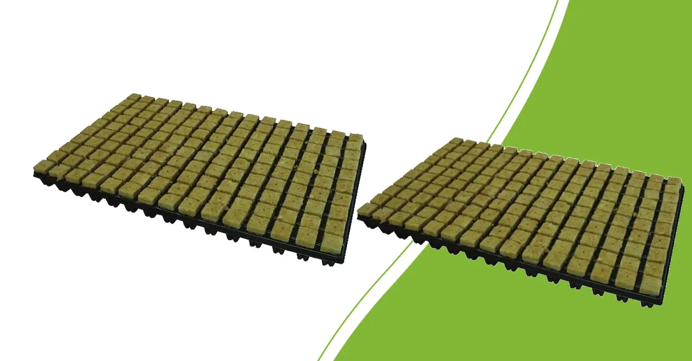 Grodan SBS und Cultilene Steinwoll-Anzuchtplugs in Trays vor grünem Hintergrund