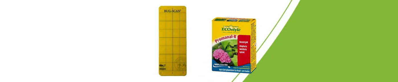 Gelbe BUG-SCAN Klebefalle und ECOstyle Promanal-R Konzentrat: zwei unterschiedliche Formen der Schädlingskontrolle