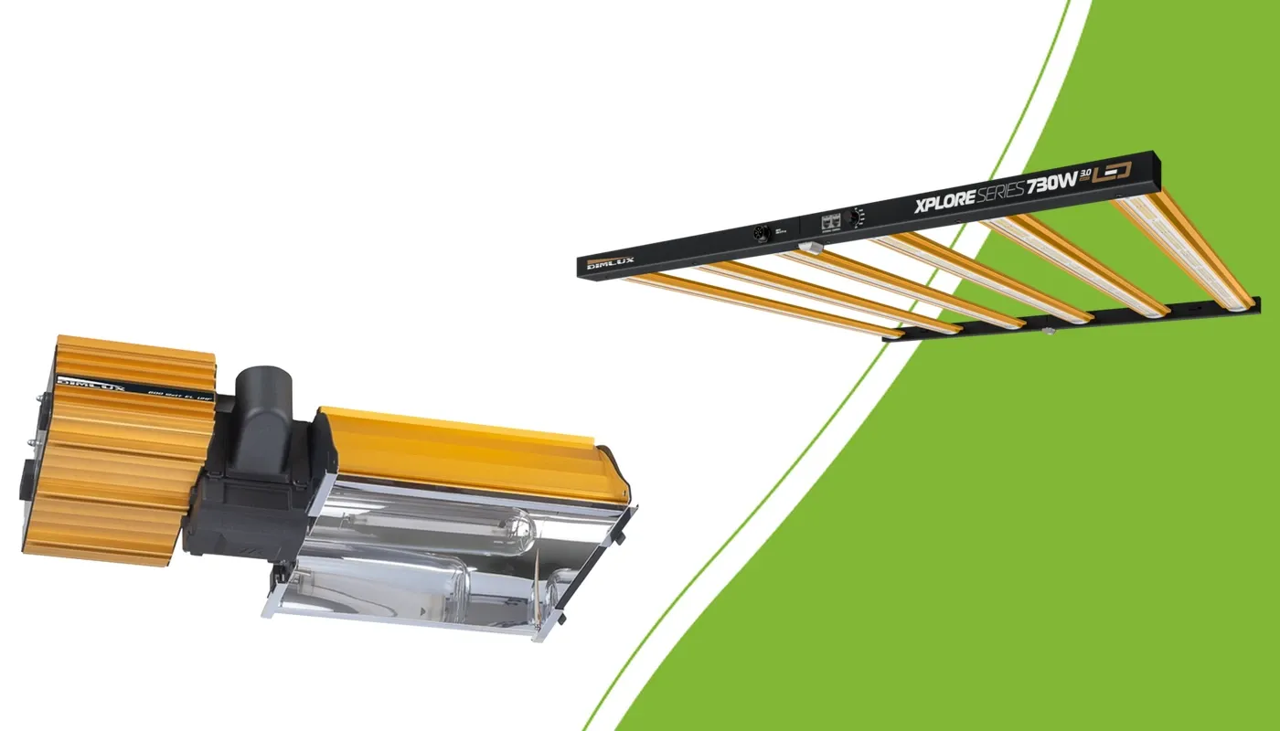 DimLux NDL- und Xplore LED-Leuchte nebeneinander