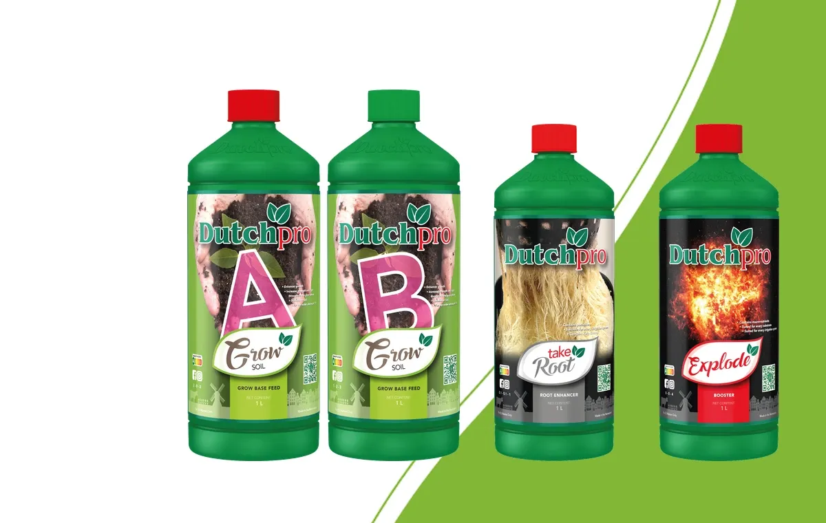 Dutch Pro Soil Grow A und B, Take Root und Explode