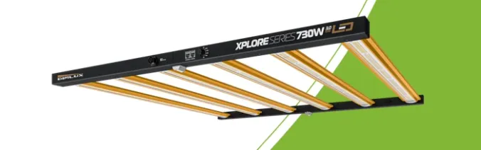 DimLux Xplore 730W 3.0
